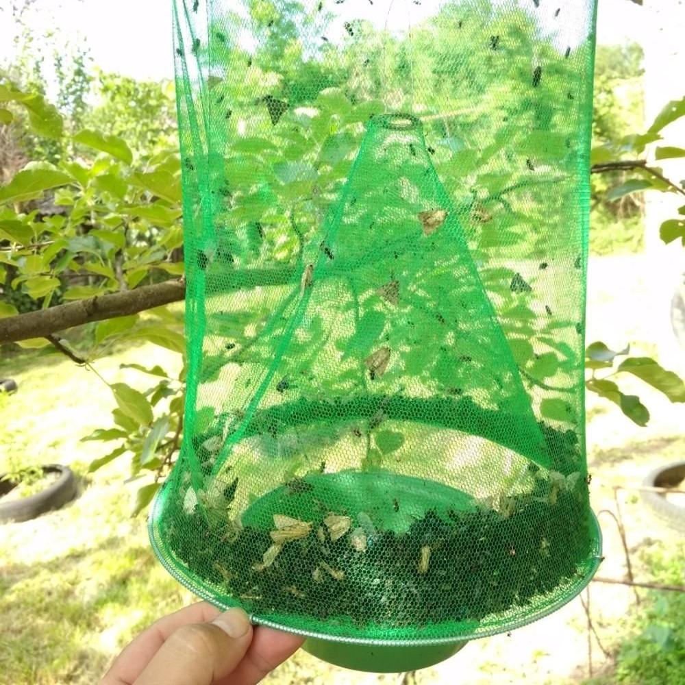 Arenzza Fast Fly Catcher tool for garden pest control, featuring a sleek design for trapping flies effectively.