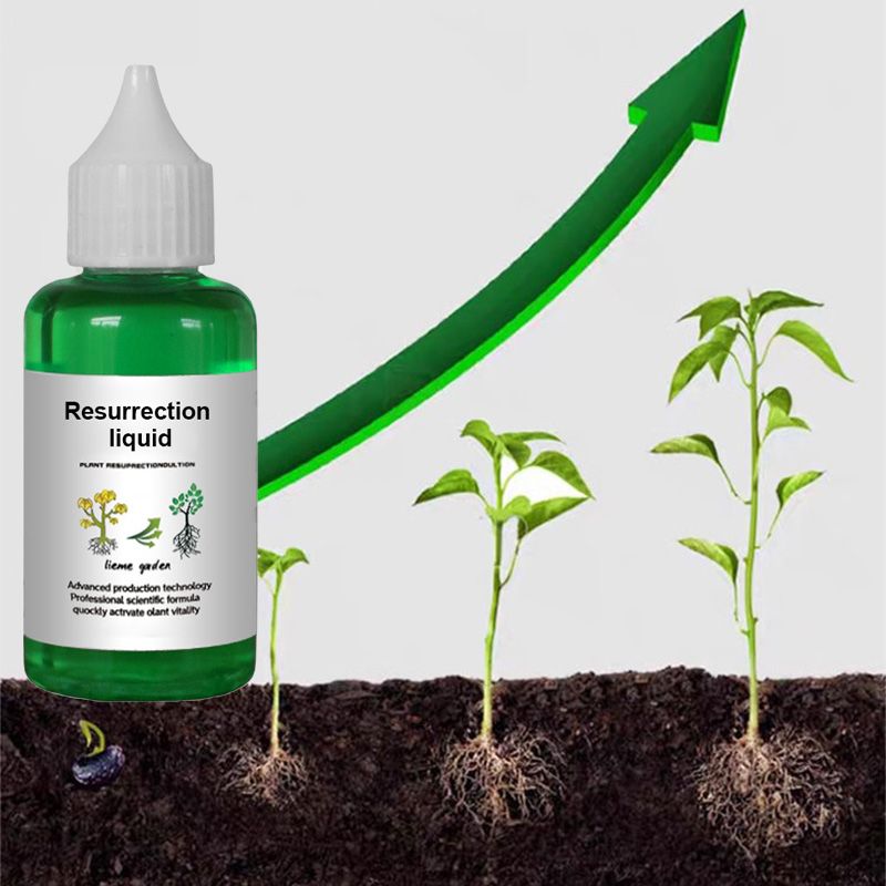 Arenzza plant and flower activation liquid bottle, gardening tool for vibrant plant growth, shown with fresh green leaves and blooming flowers.
