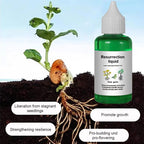 Arenzza Plant & Flower Activation Liquid bottles for vibrant growth and blooming, shown with garden tools and blooming flowers.