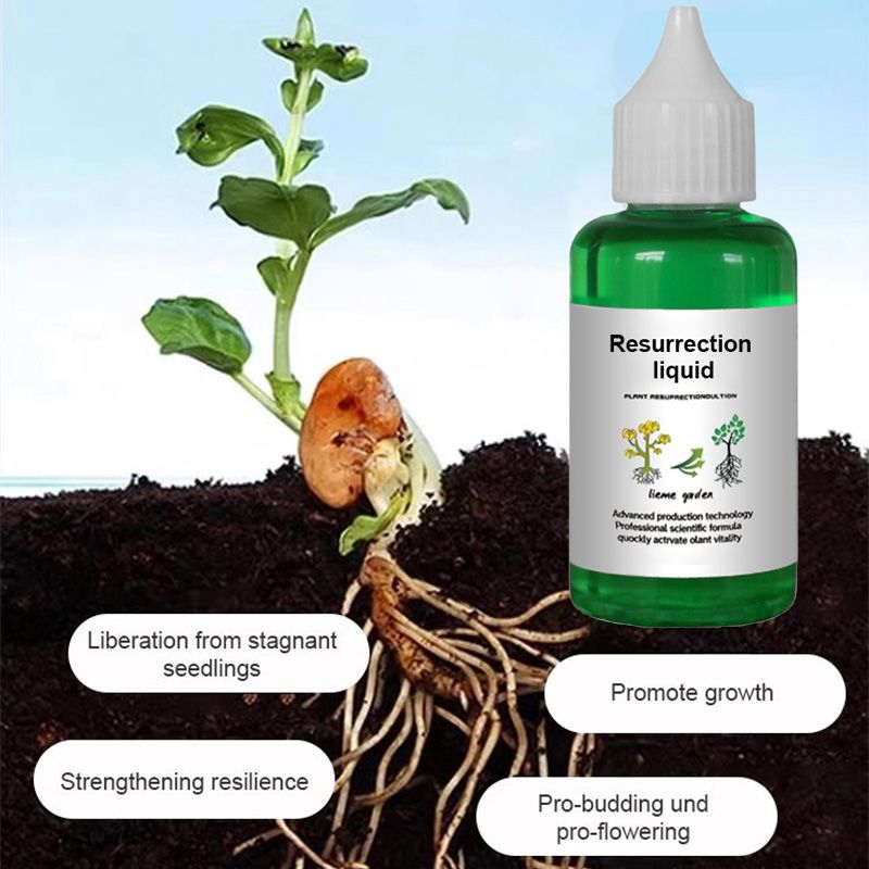 Arenzza Plant & Flower Activation Liquid bottles for vibrant growth and blooming, shown with garden tools and blooming flowers.