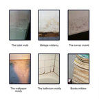 Arenzza anti-mildew cleaning foam spray in a spray bottle, designed for mold removal and bathroom or kitchen cleaning.