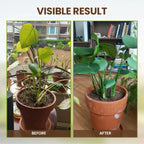 Arenzza Soil Pro Activator tool for gardening, shown in hand with soil and plant roots, promoting healthy plant growth.