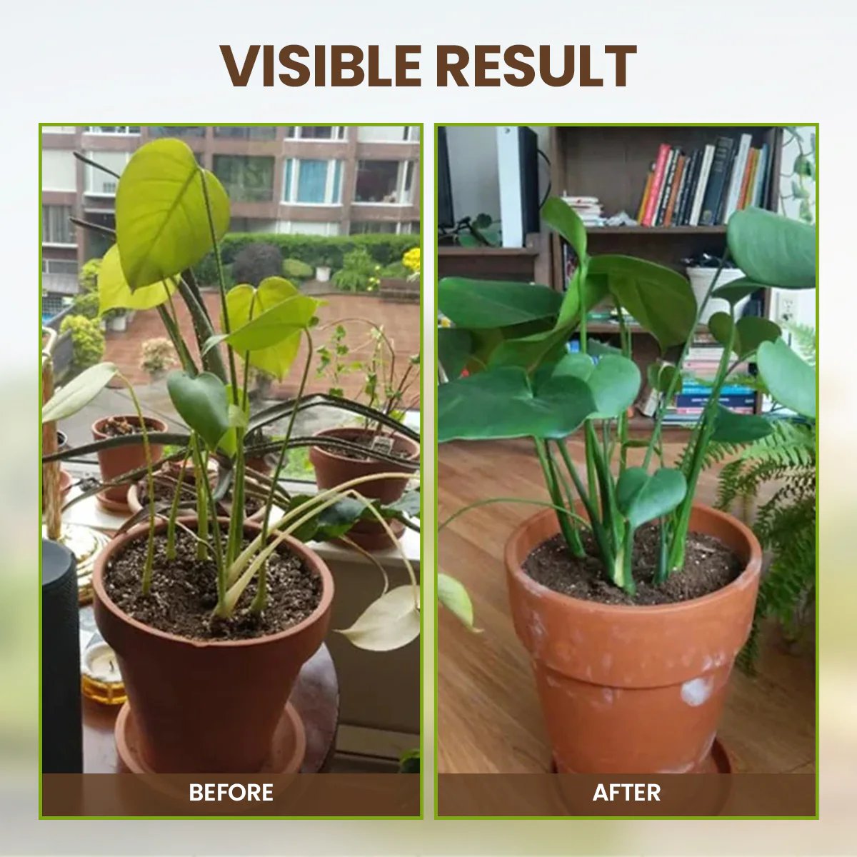 Arenzza Soil Pro Activator tool for gardening, shown in hand with soil and plant roots, promoting healthy plant growth.