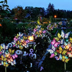 Arenzza solar outdoor butterfly lights in garden, decorative LED lights with butterfly-shaped design for outdoor decoration.