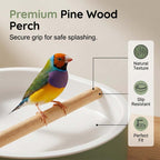 Arenzza electric bird bath with shower and perch, outdoor garden tool for bird bathing and watering, in a garden setting.