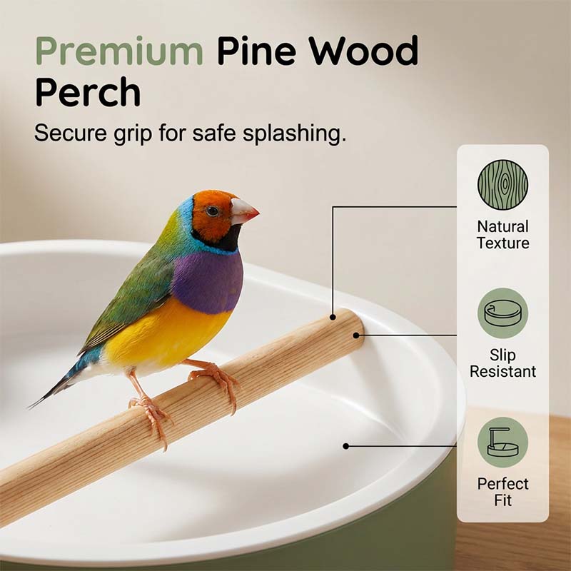 Arenzza electric bird bath with shower and perch, outdoor garden tool for bird bathing and watering, in a garden setting.