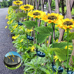 Arenzza sunflower solar lights with auto on/off, 14-hour glow, waterproof IP65, decorative garden lighting for outdoor use.