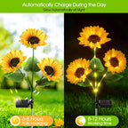 Arenzza sunflower solar garden lights with auto on/off, 14-hour glow, waterproof IP65, decorative outdoor lighting.