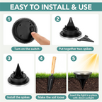 Aarenza 2-pack solar path lights for garden, with automatic dusk-to-dawn operation, outdoor tools and garden lighting.