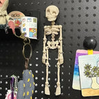Aarenza 3D printed vintage skeleton magnetic figurine toy for kids and gifts, featuring a detailed skeleton design with magnetic parts.