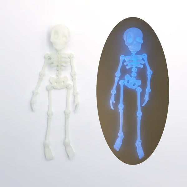 3D printed vintage skeleton magnetic figurine by Arenzza, a detailed toy or gift with a classic skeleton design and magnetic features.