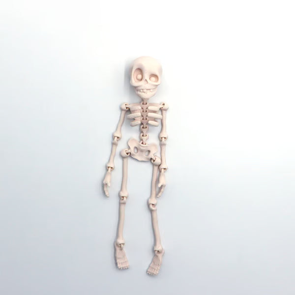 Aarenza 3D printed vintage skeleton magnetic figurine, toy or gift with detailed skeletal design and magnetic base, perfect for kids and decor.