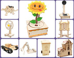 Arenzza 3D stereo jigsaw puzzle wooden toy for kids, showcasing colorful interlocking wooden puzzle pieces assembled in a playful design.