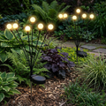 Arenzza SolarLight garden lights powered by solar energy, shown illuminating a garden pathway at dusk.