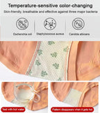 A pair of Arenzza high waisted women’s seamless antibacterial panties with tummy control and hip lifting design.