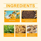 Set of four Aurenza Bee Venom Ginger Herbal Foot Patches on a white background, showcasing natural herbal ingredients.