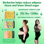 Aurenza Shop US Doctor Recommended Berberine 6-in-1 Nano Microencapsulated Patch showing the product packaging and patch design.