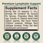 Serenzza Lymphatic Drainage Drops supplement bottle, designed to relieve bloating and boost immunity, with herbal ingredients.
