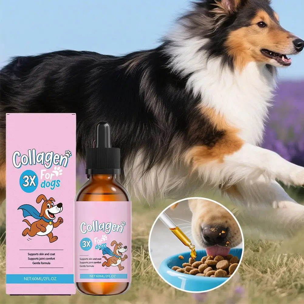 Virella 1/3/5-piece dog collagen drops set for coat and skin health, featuring gentle formula for dietary supplement and skin care.